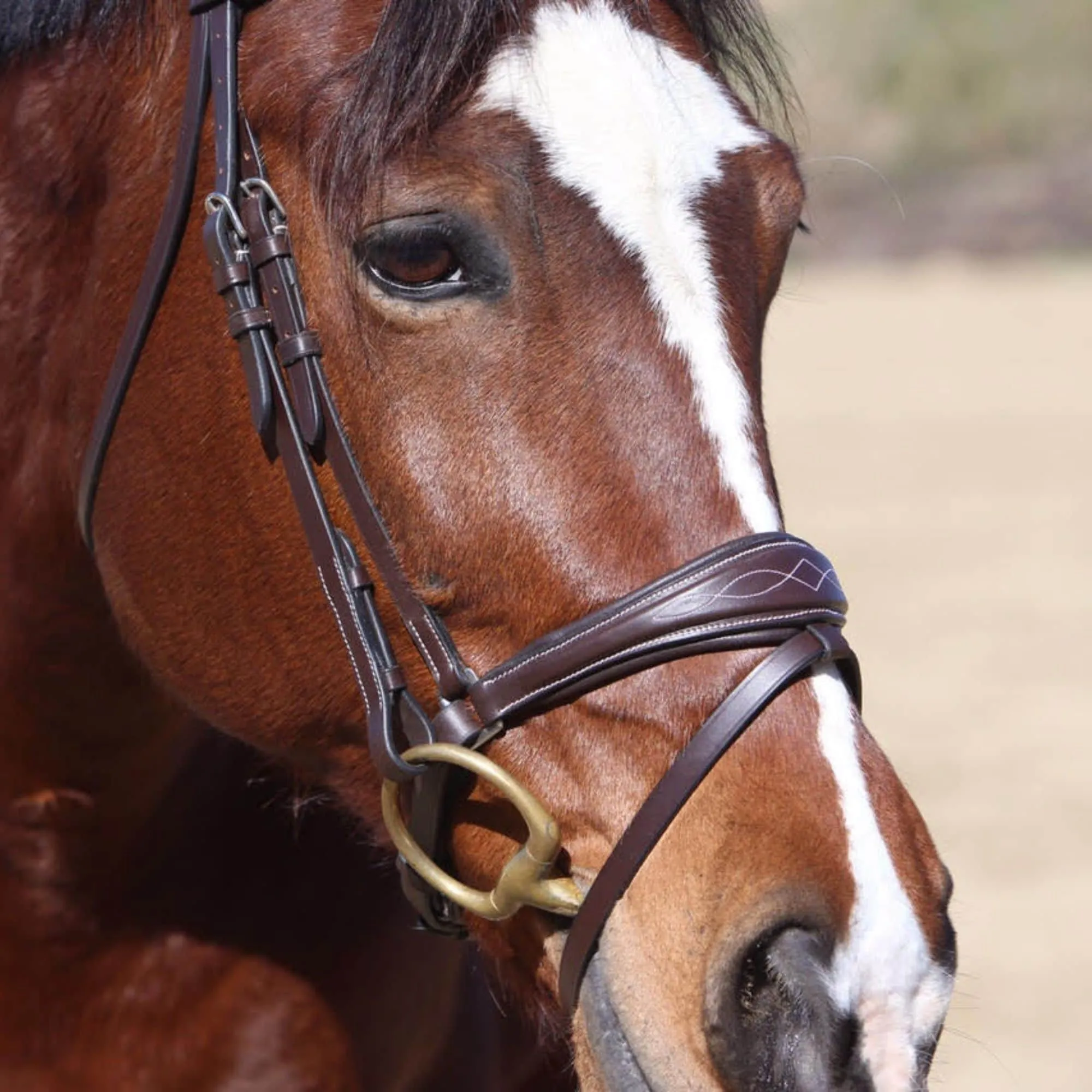 ExionPro Anatomical Dressage Bridle with Reins