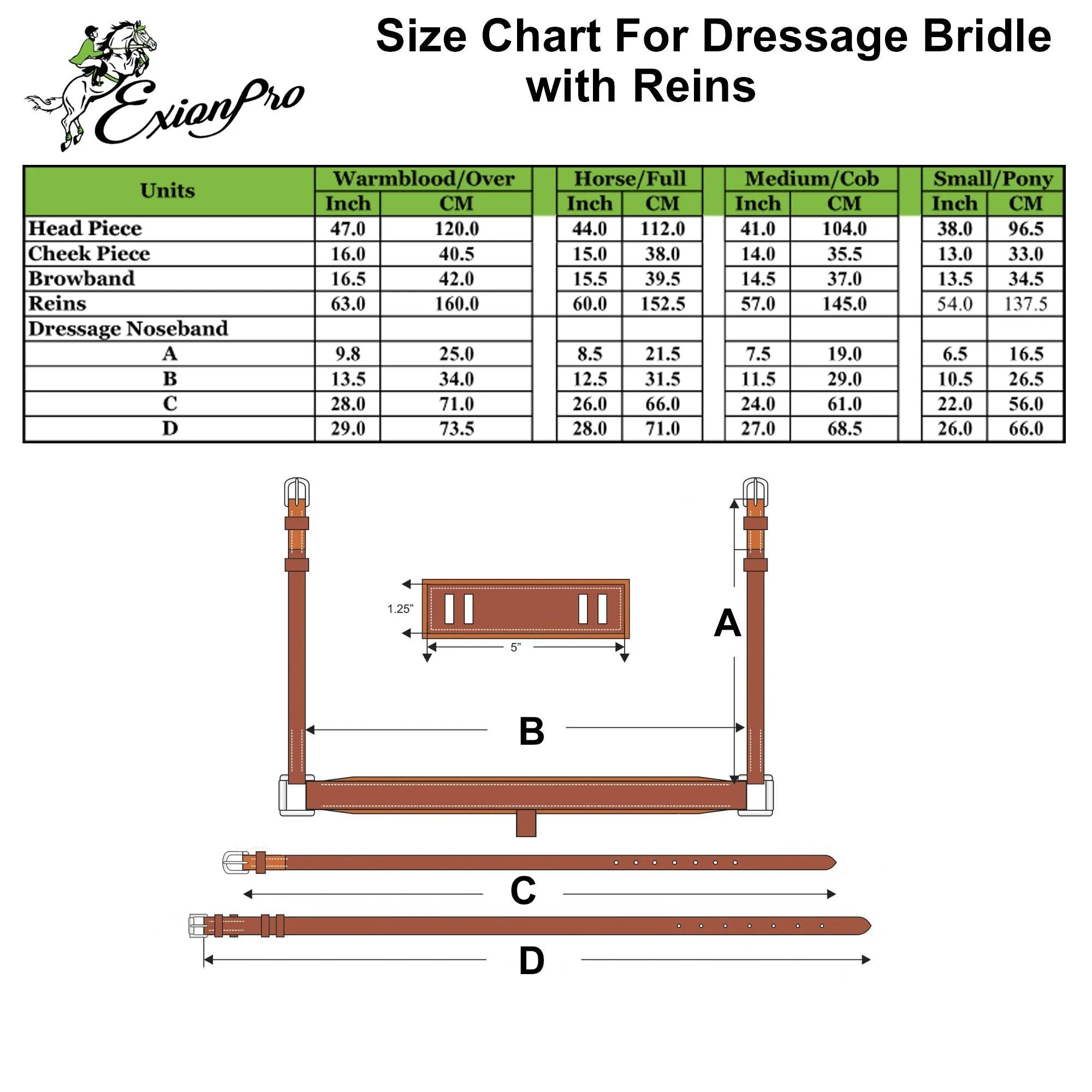 ExionPro Anatomical Dressage Bridle with Reins