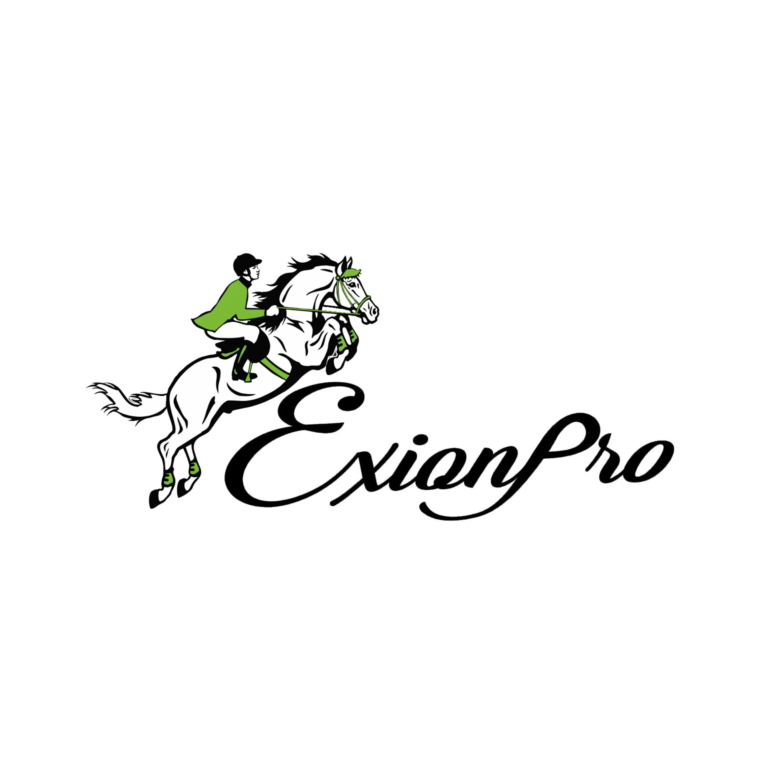 ExionPro Fancy Stitched Leather Halter - Brass Hardware