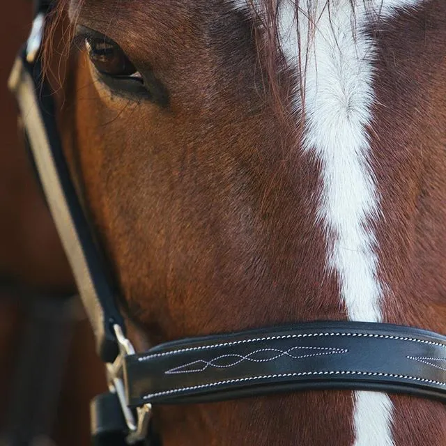 ExionPro Fancy Stitched Leather Halter - Brass Nickel Hardware