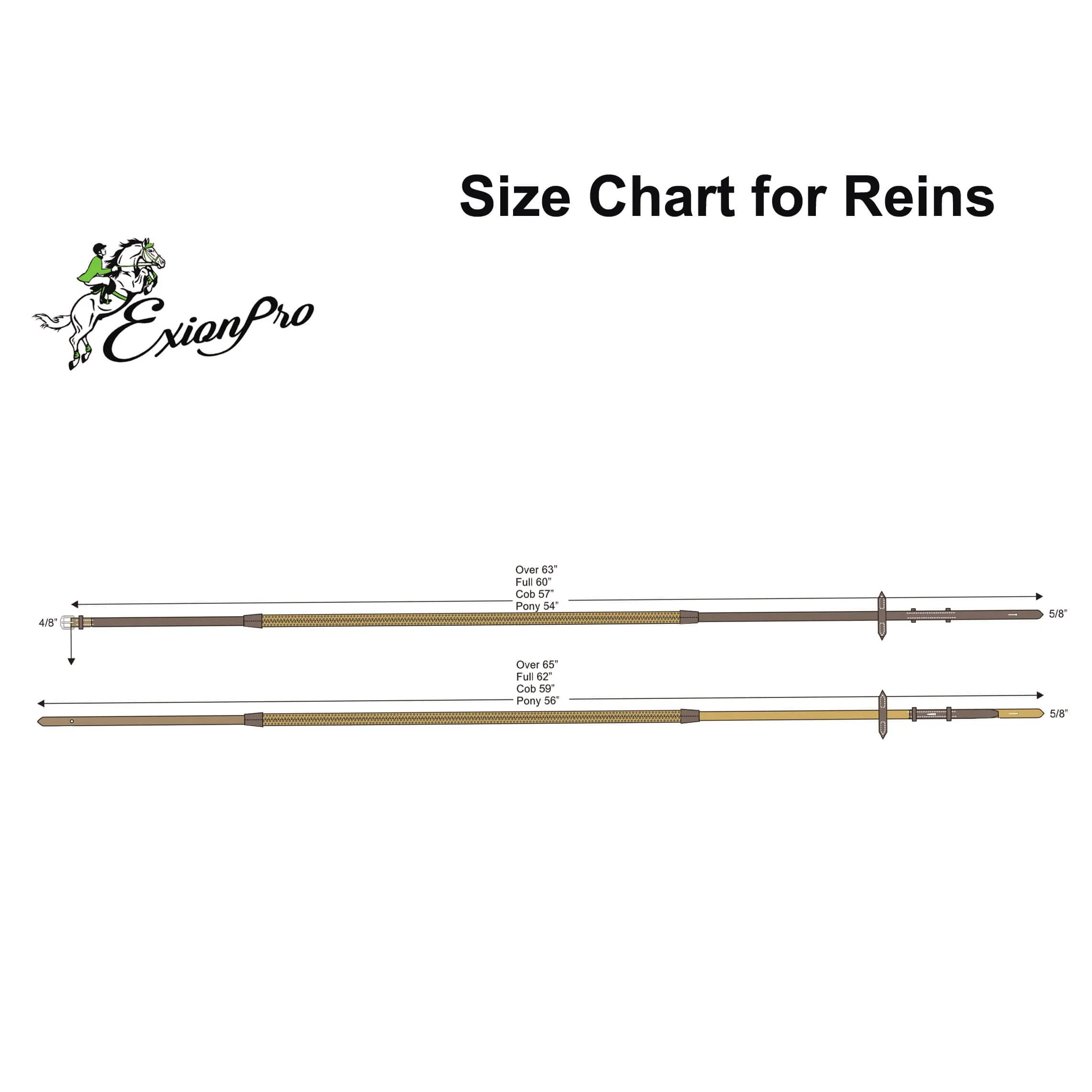 ExionPro Leather Lead with Double Brass Chain